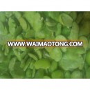Frozen Broad Beans